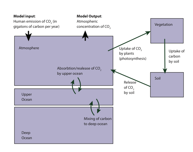 Carbon cycle schematic